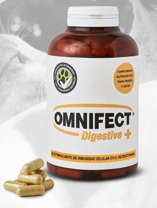 Omnifect Digestive+